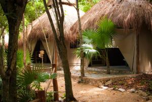 a house with a straw roof in a forest at Akumal Natura Glamping in Akumal