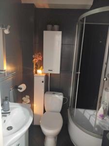 een badkamer met toilet en wastafel bij Apartament w Centrum Malborka in Malbork