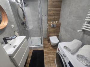 un bagno con doccia, WC e lavandino di Apartament Ami a Płock
