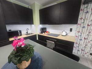 una cucina con una pianta in vaso su un bancone di Apartament Ami a Płock