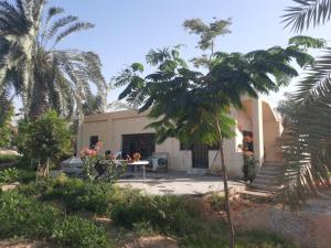 Κήπος έξω από το استراحة الباشا albash farm stay