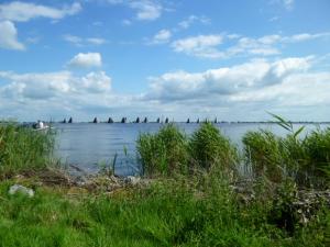 a large body of water with trees in the distance at de Wylgepleats in Jutrijp +3 photos
