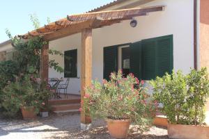 a house with green shutters and potted plants at Agriturismo Agrifoglio in Capalbio