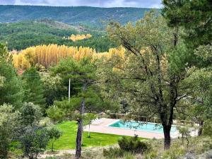 a swimming pool in the middle of a forest at Cabañas Llano de los Conejos in Cañamares