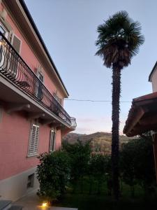 a palm tree in front of a pink building at Casa Salvàn in Rodello