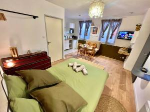 TV a/nebo společenská místnost v ubytování " Le Petit Venise " Centre Ville - Wifi - TV