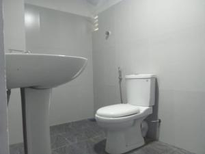 een badkamer met een wit toilet en een wastafel bij Riverside Hotel Colombo in Dandugama