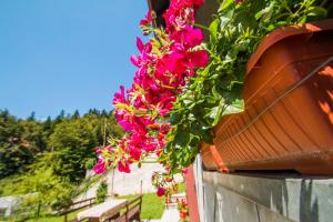 O grădină în afara Apartman Japlenški