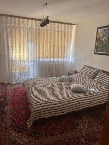 a bedroom with a large bed and a window at Atila Nature Home in Bjelašnica