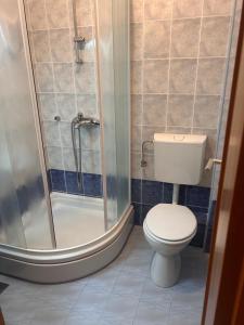 a bathroom with a toilet and a shower at Atila Nature Home in Bjelašnica