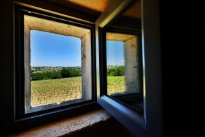 Fotografie z fotogalerie ubytování Masseria Trulli e Vigne v destinaci Martina Franca