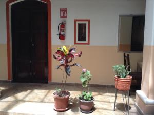 Gallery image of Hostal Buenos Aires in Quito