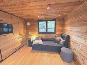 ZeitlarnTiny-House & Wellness Zeitlberg的小木屋内带沙发的客厅