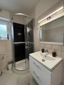 a bathroom with a shower and a white sink at Apartmán na kopečku in Pernink