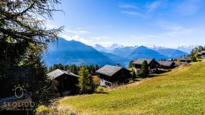 a village on a hill with mountains in the background at Chalet Dorle, Riederalp Golmenegg in Riederalp