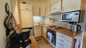 Kuchyň nebo kuchyňský kout v ubytování Arber Haus Paula