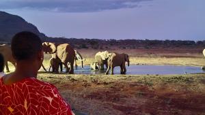 a boy watching a herd of elephants at a watering hole at Kristina Homes 1&2 Bedroom Apartment in Voi