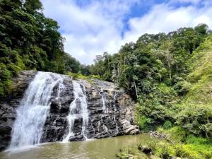 Φυσικό τοπίο κοντά σε αυτό το hostel