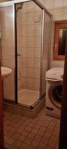 a shower in a bathroom with a washing machine at Wöscherhof in Unterahrnbach