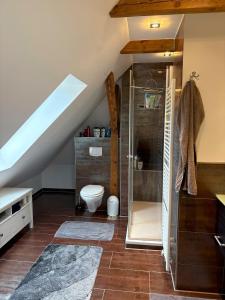 a bathroom with a shower and a toilet in a attic at Cityapartment am historischen Wall in Aurich