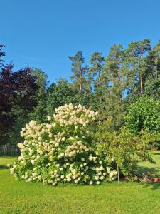 Φωτογραφία από το άλμπουμ του Am Spröckel σε Bleckede