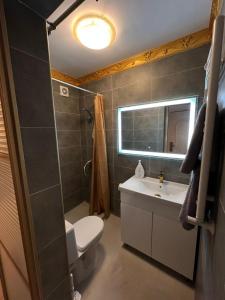 a bathroom with a toilet and a sink at Central Park Rentals in Chişinău +7 photos