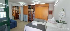 a room with a bed and a couch and bookshelves at Suite solarium Km21 in Vera