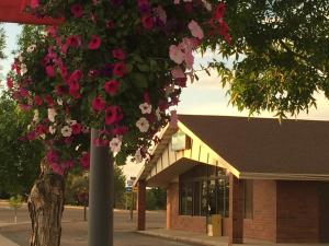a tree with pink and white flowers in front of a building at Gateway Inn in Lyman +11 photos