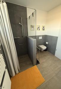 ElsenfeldB3 Boardinghouse bei Becker的带淋浴、马桶和水槽的浴室 更多21张照片