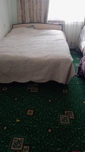 a bedroom with a bed and a green carpet at Гостевой дом Жылдыз Курак in Orto-Saz
