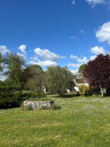 un champ d'herbe verte avec une pierre au milieu dans l'établissement Villa paisible avec piscine, à Bercloux