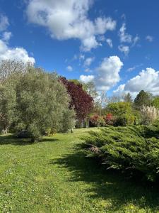 un champ d'herbe planté d'arbres et de buissons dans l'établissement Villa paisible avec piscine, à Bercloux
