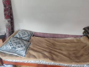 a bed with two pillows on top of it at Гостевой дом Жылдыз Курак in Orto-Saz