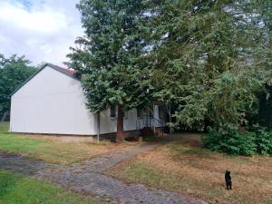 a black cat standing in front of a white building at Bungalow 2 - 4-Raum-Wohnung mit Küche und 2 WC Duschen in Ohrdruf-Crawinkel in Niederdorla