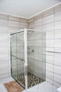 una ducha con puerta de cristal en un baño en Wildlife Oasis, en Marloth Park