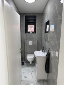 a bathroom with a white toilet and a sink at Kuća za odmor Stubaki in Stubicke Toplice +12 photos