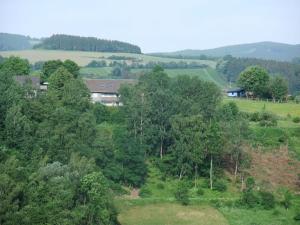 an aerial view of a field with trees at Dümpelhof Ferienwohnungen in Olsberg
