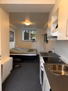 Kuchyň nebo kuchyňský kout v ubytování Jysk bed and no breakfast