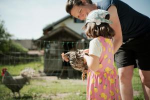 Άλλα ζώα σε αυτό το κάμπινγκ ή στη γύρω περιοχή