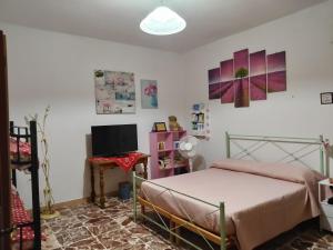 a bedroom with a bed and a tv in it at Casa Muscas in Iglesias