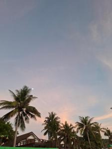 a group of palm trees under a cloudy sky at At Mutta Lanta House in Ko Lanta Yai