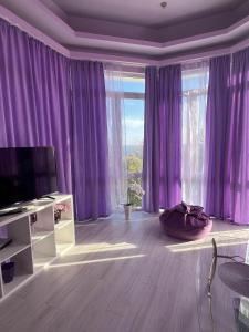 Μια τηλεόραση ή/και κέντρο ψυχαγωγίας στο Hotel Kamelia