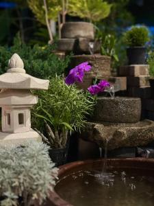 Aed väljaspool majutusasutust Rungarun Residence