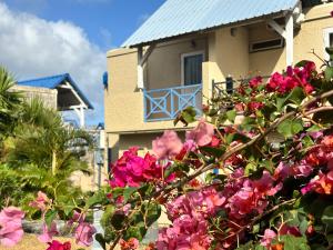 Κήπος έξω από το Villa Aquamarine by Lakaz Tropikal