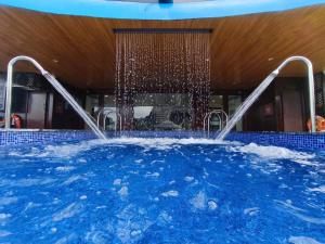 Бассейн в Cycad cruise или поблизости