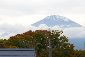 a snow covered mountain in the distance with a tree at Fuji Elegance Hotel in Yamanakako