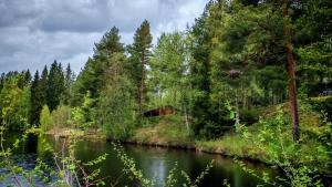 a river with a cabin in the middle of a forest at Nature Dream Days in Muhos