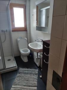 a bathroom with a toilet and a sink and a mirror at Chalet Lueg uf Belalp in Rosswald