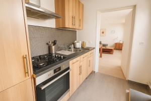 a kitchen with a stove and a sink at Cozy Marquette apartment 10 min from Lille center in Marquette-lès-Lille +8 photos