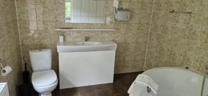 a bathroom with a white sink and a toilet at Zamek Bożejów - Agroturystyka in Radomierowice